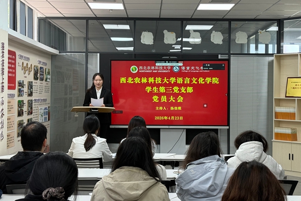 image_1776995760452_副本.jpg